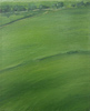 Achim Calistru, 2002