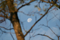 Ipotesti, decembrie 2013, foto Liliana Grecu